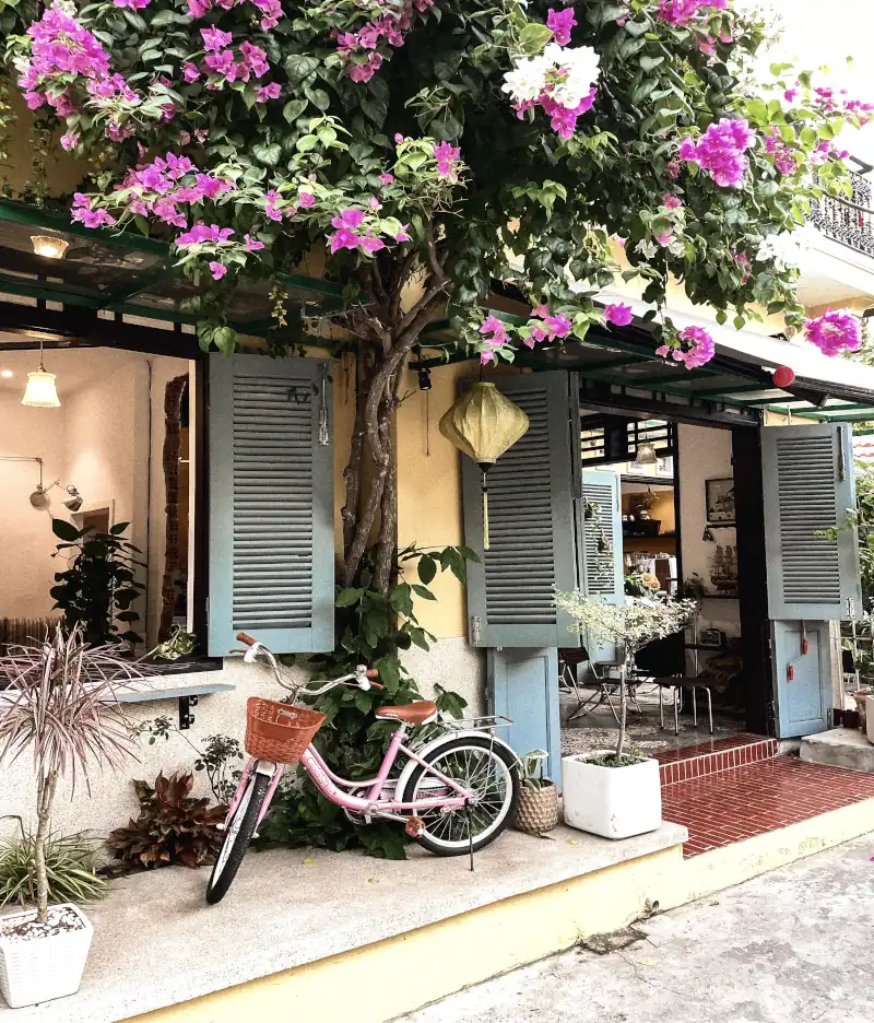 Unterkunft im Kolonialstil mit blauen Holzfensterrahmen. Davor ein rosa Fahrrad und ein Baum mit rosa Blüten