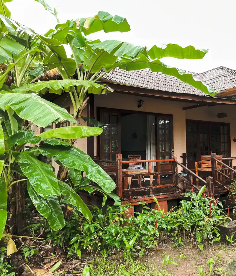 Bungalow aus Holz im grünen Dschungel von Vietnam mit einer Treppe, Stühlen und einem Tisch sowie Bananenbäume im Vordergrund