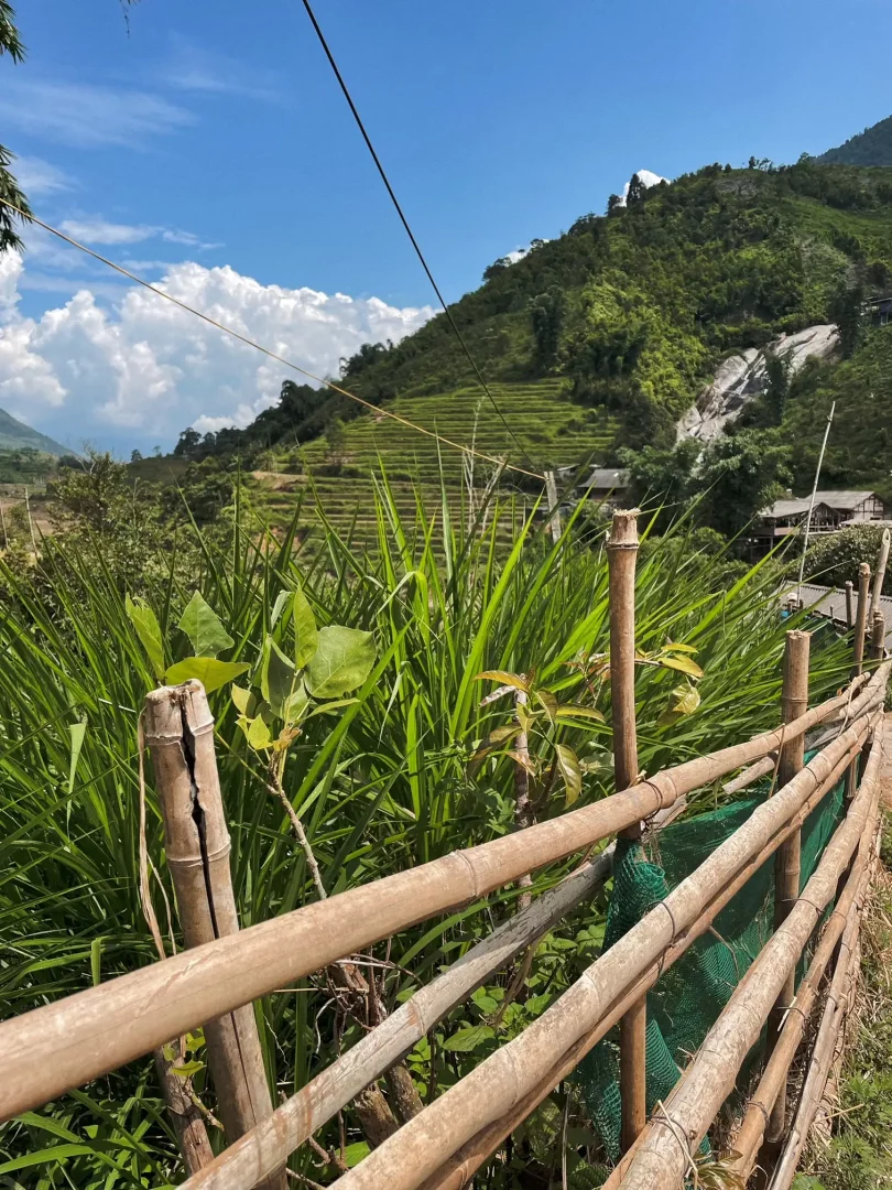 blick vom wanderweg aus richtung tal und reisterrassen. m vordergrund ein geländer aus bambusstämmen